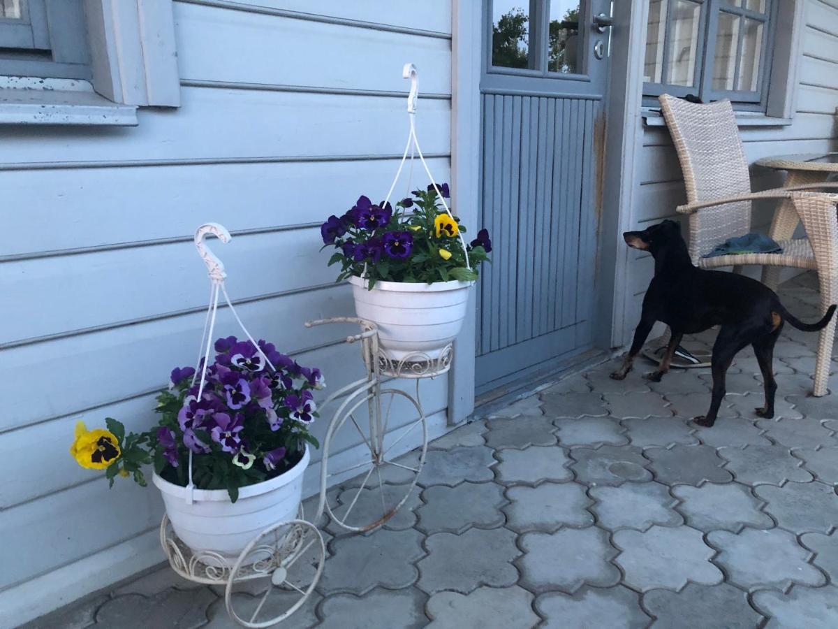 Manni Homestay Kuressaare Exteriör bild
